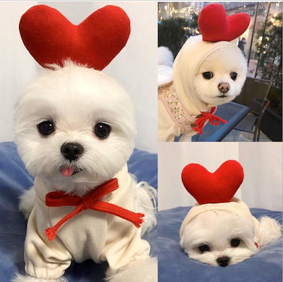 Qoo10 犬の服面白い犬の服ペットの服フルーツハー ペット