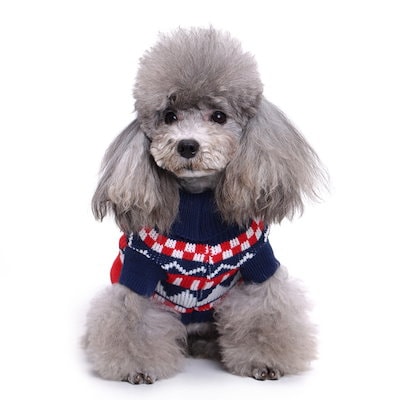 Qoo10 犬ニットセーター 可愛い ペット服 犬服 ペット