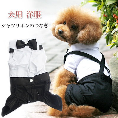 Qoo10 ワンチャンスーツ犬服ペット服洋服ドッグ ペット