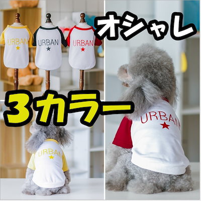 Qoo10 犬服 Tシャツ シンプル さわやか クー ペット