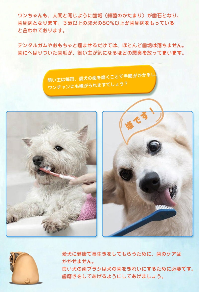 Qoo10 犬歯ブラシ ペット用 歯ブラシ 子犬かむ