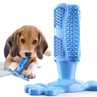 Qoo10 犬用おもちゃ ペット用歯ブラシ 犬歯ブラ ペット