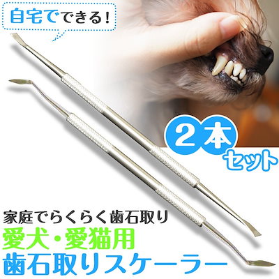 福袋 犬用品 犬用スケーラー歯石除去歯石取り器具ペット歯磨き犬 猫 わんちゃん口腔ケア両頭タイプ Www Satektarim Com Tr