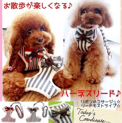 Qoo10 犬用ハーネス リードセット 犬リード 犬 ペット