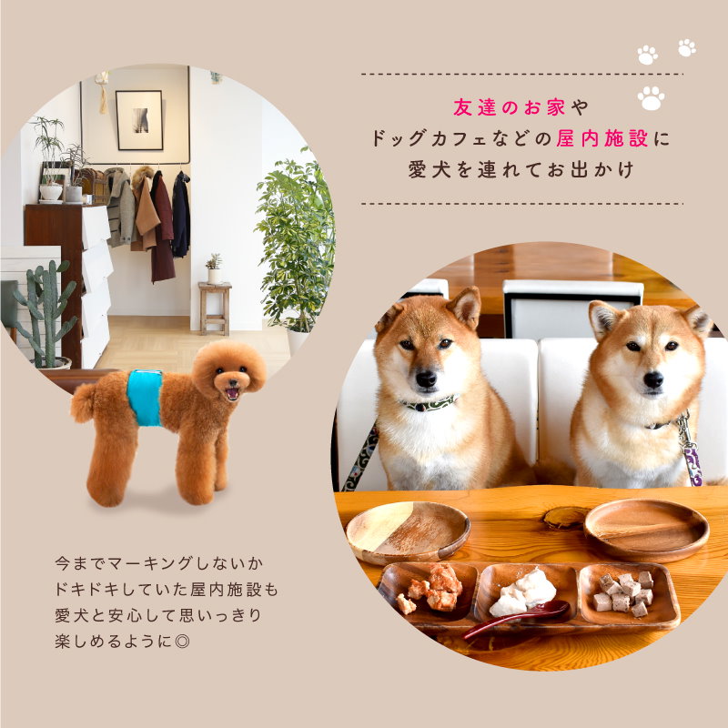 Qoo10 あって安心犬用マナーベルト