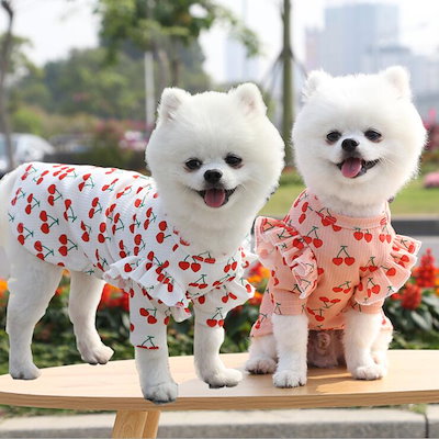 最安挑戦 犬用品 犬服いちごシャツフリルかわいい犬の服ペット服小型犬ドッグウェア Www Ilas Edu Tt