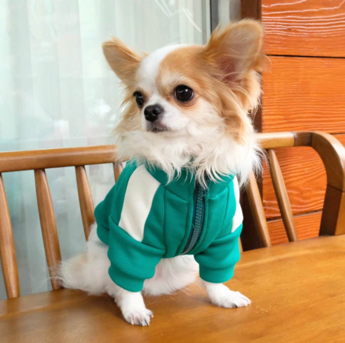 Qoo10 犬 猫 イカゲーム服 冬用 ｓ 3ｘｌ