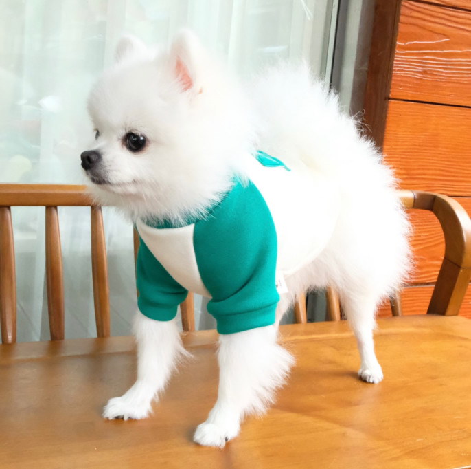 Qoo10 犬 猫 イカゲーム服 冬用 ｓ 3ｘｌ