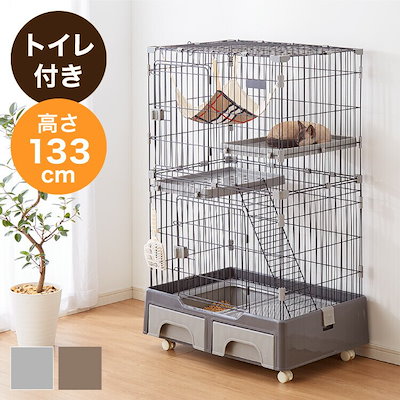 激安店舗 猫用品 ペット Coyoterungolf Com