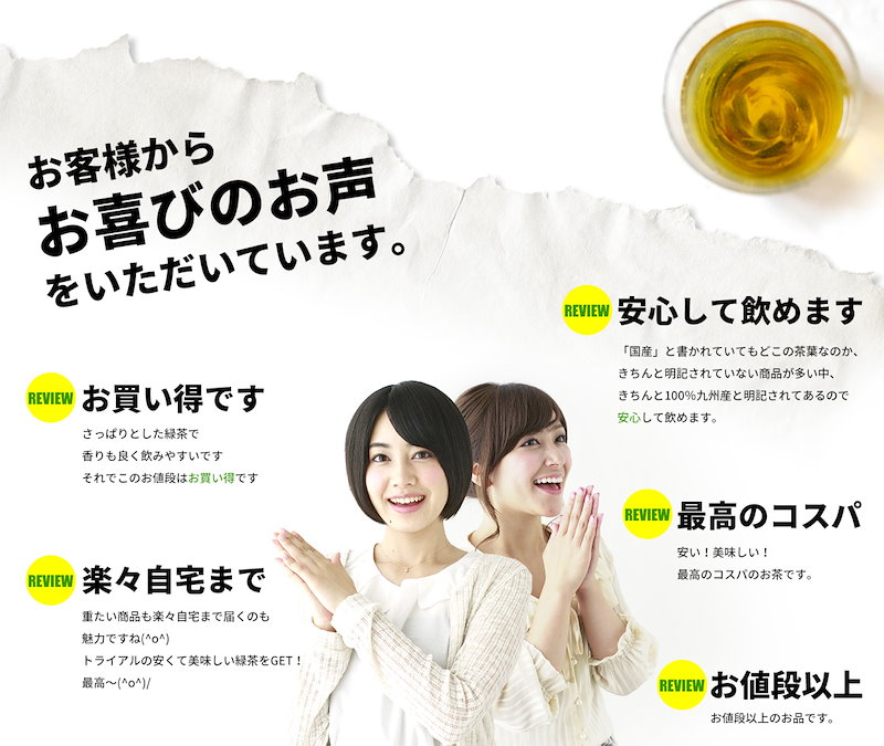 Qoo10] 緑茶500mlペットボトル48本鹿児島産