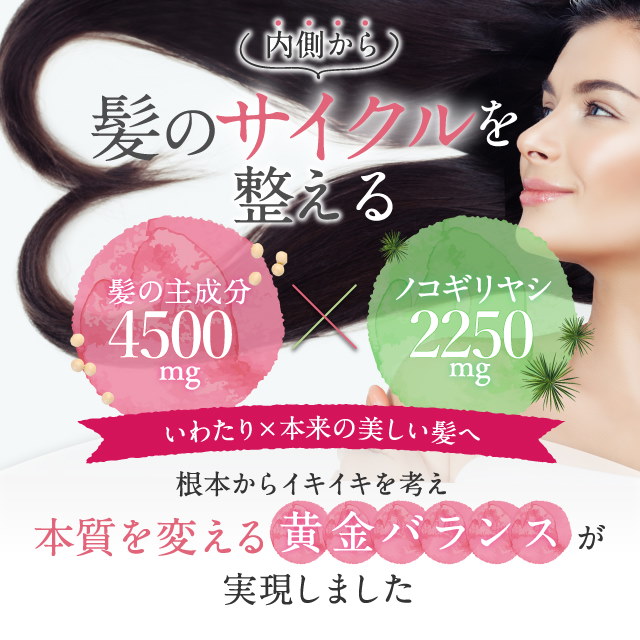 Qoo10 育毛サプリメント 女性用 レディース 産後の抜け毛 髪の毛 ケラチン4500mg ノコギリヤシ2250mg Black Up Energy For Ladie