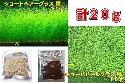 Qoo10 送料無料水草の種２種セット合計２０g シ ペット