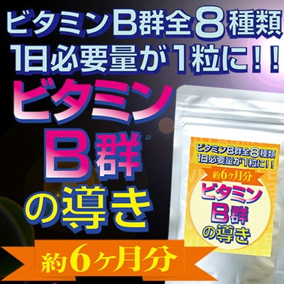 Qoo10 送料無料 ビタミンb群の導き 約6か月分 美容健康ダイエットに欠かせないビタミンb 群全8種類1日必要量が1粒に180粒約6か月分厚生労働省が定めた必要量を摂取翌営業日発送