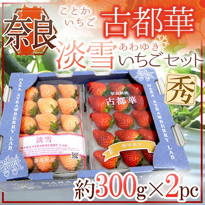 Qoo10 送料無料 奈良県産 白いちご 淡雪いち 食品