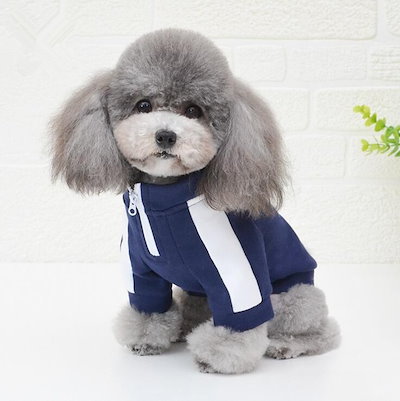 Qoo10 送料無料犬の服 犬猫服 犬洋服 犬はテデ ペット