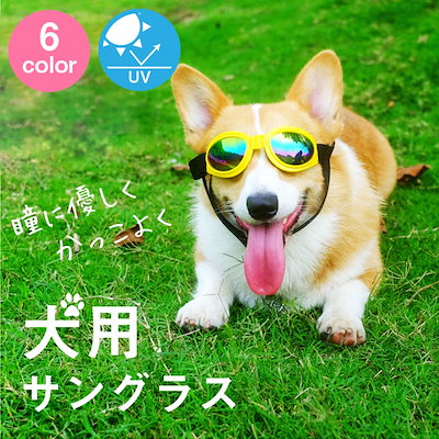 Qoo10 送料無料 犬 サングラス ゴーグル ペット