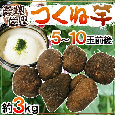 Qoo10 送料無料 産地厳選 つくね芋山の芋 5 食品