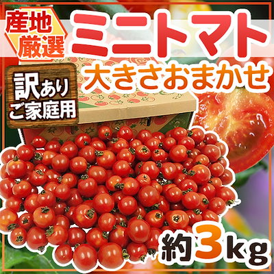 Qoo10 送料無料 産地厳選 ミニトマト 訳あり 食品
