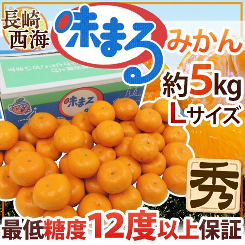 Qoo10 送料無料 長崎 西海 味まるみかん 秀品 Lサイズ 約5kg 最低糖度12度保証 予約 11月下旬以降