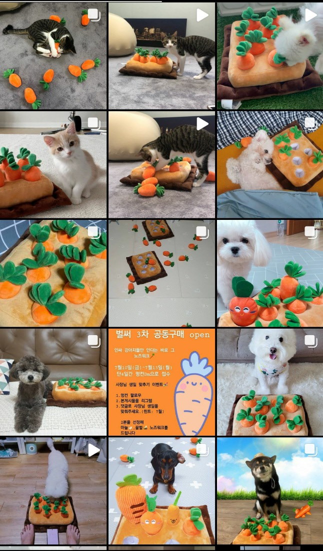 Qoo10 Carrot Farm