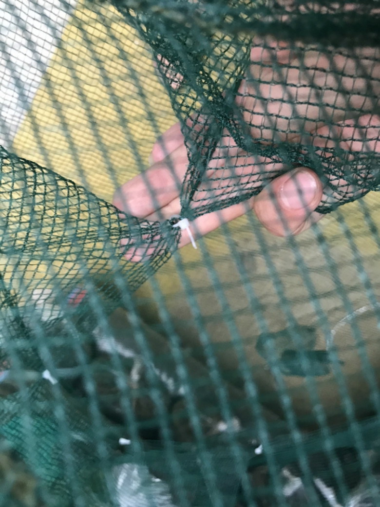 Qoo10 高品質 網かご 投網 魚捕り用 ネット 漁具 釣り用 漁網