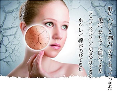 記事番号:2819/アイテムID:66178の画像