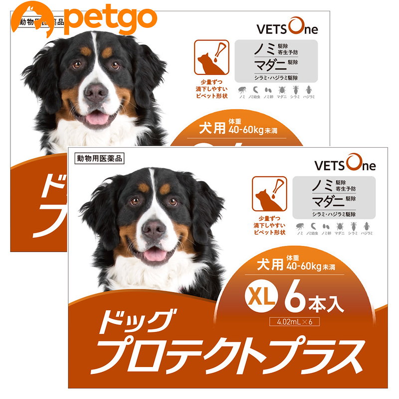 通販 専門 店 2箱セット ベッツワン ドッグプロテクトプラス 犬用 Xl 40kg60kg未満 6本 動物用医 公式クリアランス Enovux Com Mx