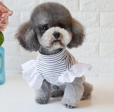 Qoo10 新品 犬の服新しい春と夏の犬の服 ペット