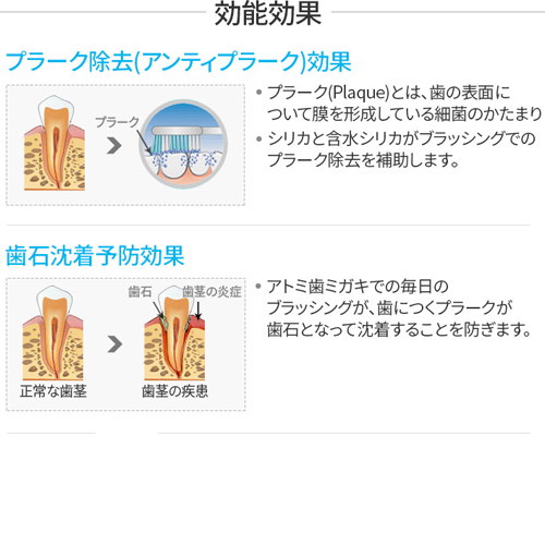 Qoo10 Atom美 アトミ 歯磨き粉