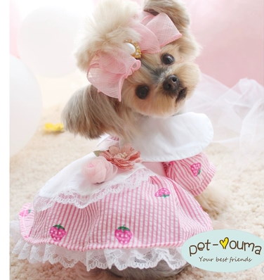 Qoo10 B春夏秋ペット服犬服猫服犬洋服 可愛いスカートワンピース ドレス 春服 韓版のメイドペットふんわりワンピースドレス パーティー 結婚式 写真撮影 演奏服 誕生日パーテ 2色