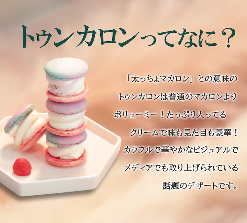 Qoo10 新フレーバー登場太っちょマカロン 選べる 6個セット トゥンカロン Macaron