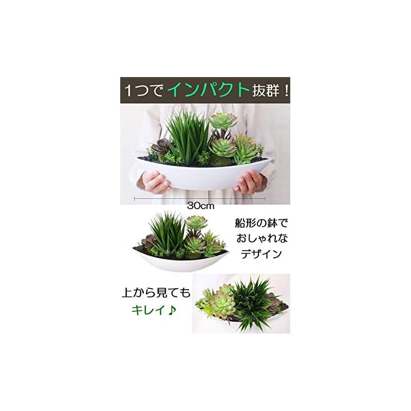 Qoo10 Medianfield サボテン ポット 観葉植物 30cm 多肉植物 寄せ植え 存在感抜群 フェイクグリーン リアル 造花 置物 人工観葉植物 インテリア 観葉 植物 植木鉢 おしゃれ 雑貨