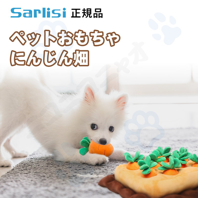 Qoo10 即日発送 大人気 正規品 にんじん畑