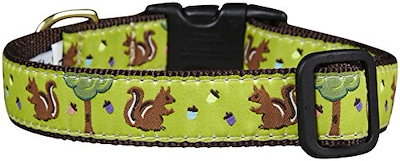 upcountry dog collars