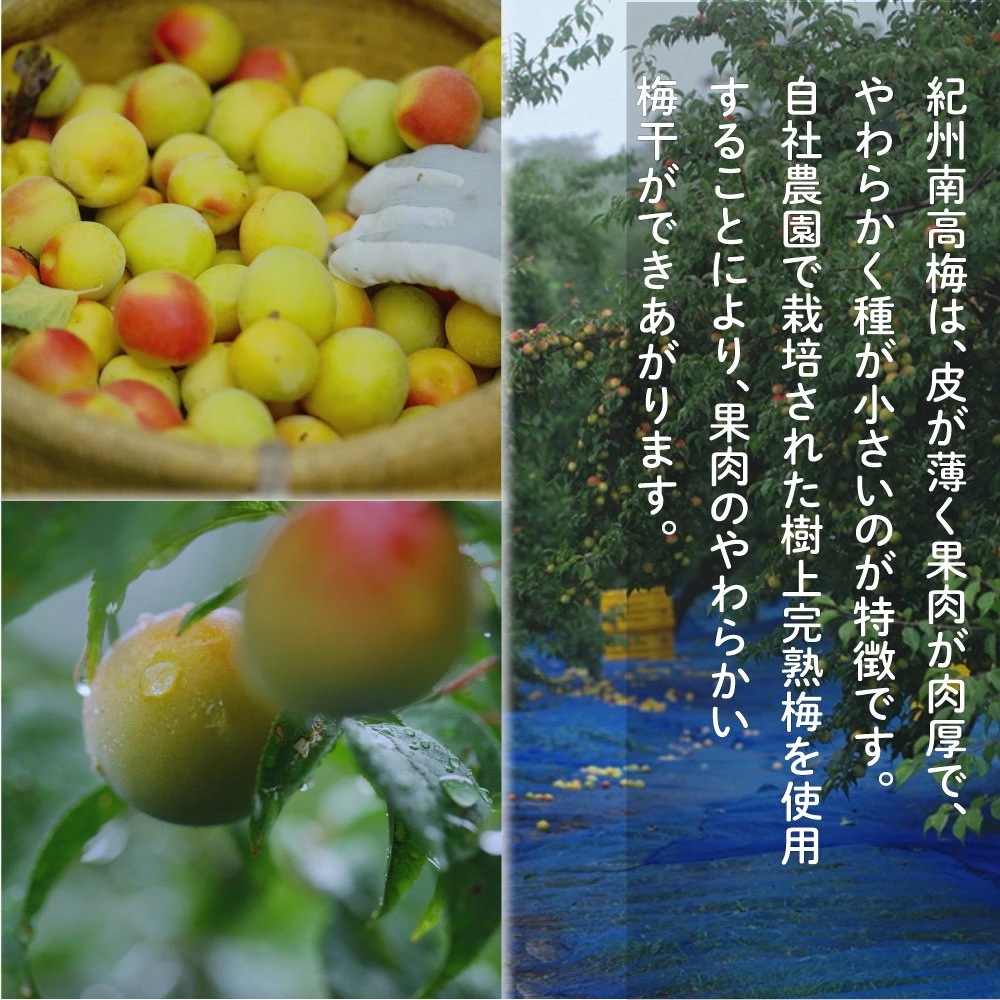 ギフト 減塩・無添加 梅干し 優梅 塩分約10% 800g 焼杉木箱入り 紀州南高梅 健康志向 うめぼし ぎふと ギフト 減塩・無添加 梅干し 優梅 塩分約10% 800g 焼杉木箱入り 紀州南高梅 健康志向 うめぼし ぎふと