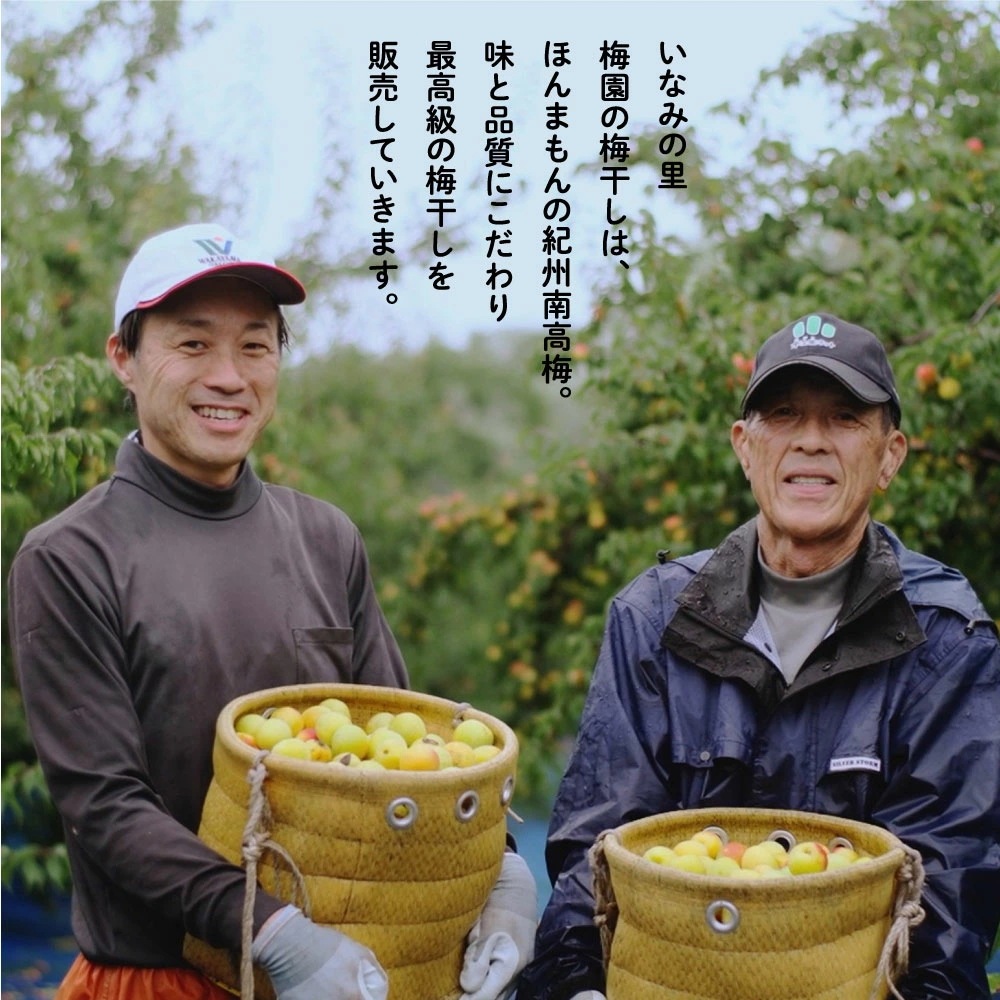 ギフト 減塩・無添加 梅干し 優梅 塩分約10% 800g 焼杉木箱入り 紀州南高梅 健康志向 うめぼし ぎふと ギフト 減塩・無添加 梅干し 優梅 塩分約10% 800g 焼杉木箱入り 紀州南高梅 健康志向 うめぼし ぎふと