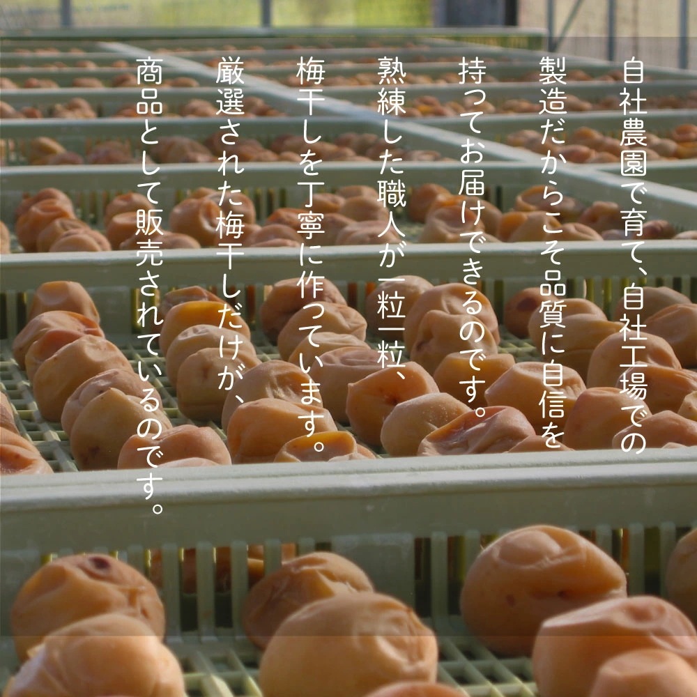 ギフト 減塩・無添加 梅干し 優梅 塩分約10% 800g 焼杉木箱入り 紀州南高梅 健康志向 うめぼし ぎふと ギフト 減塩・無添加 梅干し 優梅 塩分約10% 800g 焼杉木箱入り 紀州南高梅 健康志向 うめぼし ぎふと