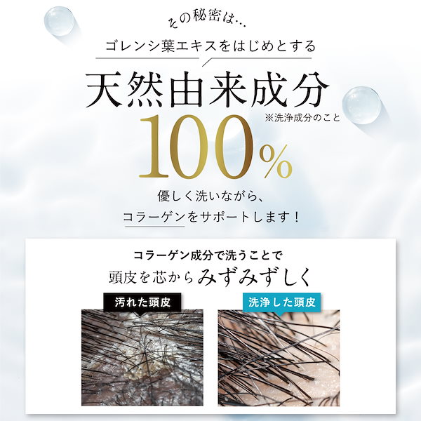 あすなろわかさ　ノアルフレ　シャンプー4点セット 楽天市場】【10/10まで！30％OFF SALE開催】ノ・アルフレ