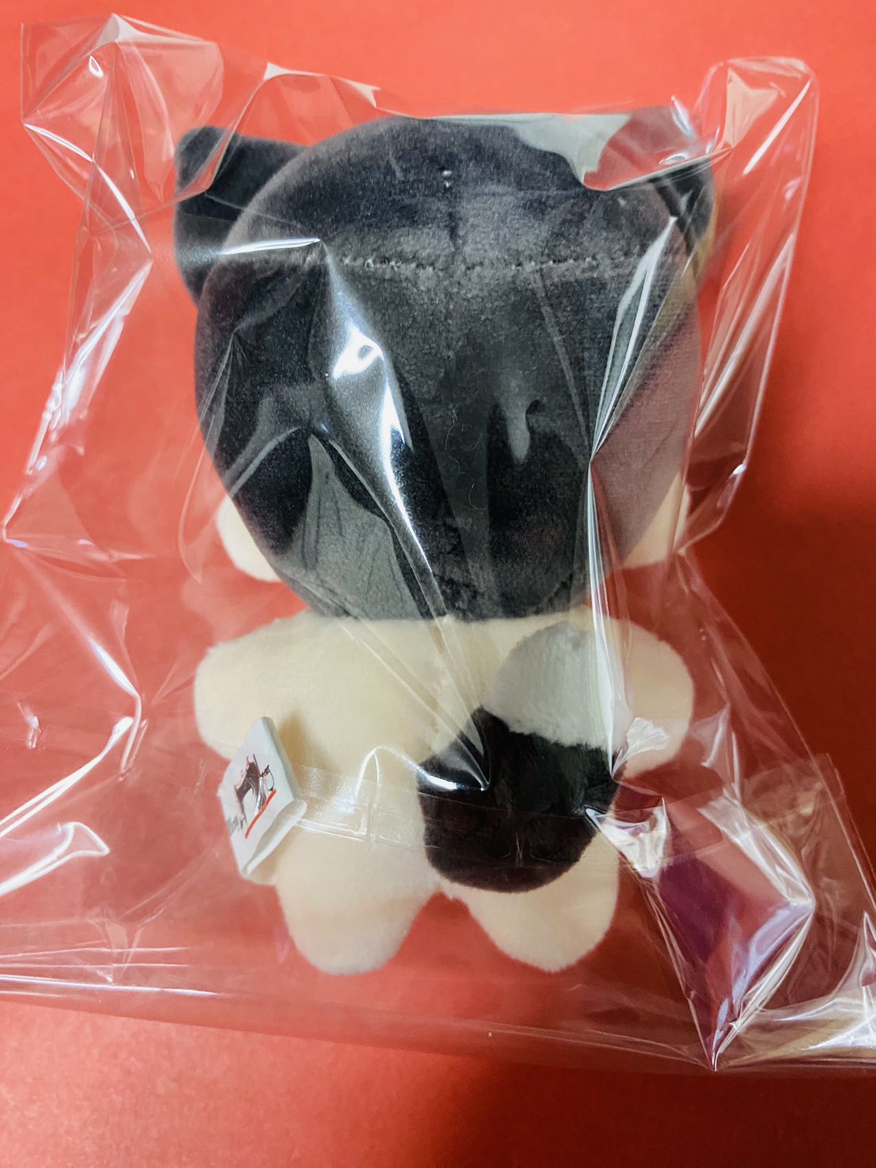 スキズ アイエン マスタニム ぬいぐるみ 10cm I.N 아이엔 stray kids アイエン 10cm ぬいぐるみ I N イエニ SKZ SKZOO