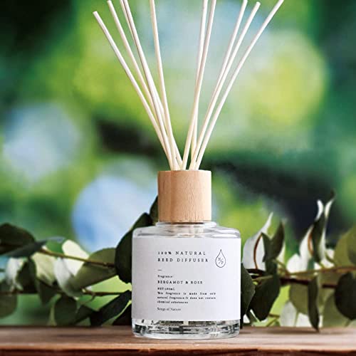 色:オレンジ&ジャスミン ソングスオブネイチャー HPリードディフューザー 100%天然香料 ルーム 色:オレンジ&ジャスミン ソングスオブネイチャー HPリードディフューザー 100%天然香料 ルーム