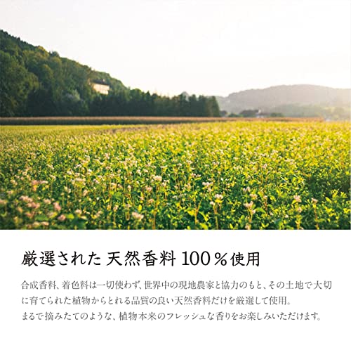 色:オレンジ&ジャスミン ソングスオブネイチャー HPリードディフューザー 100%天然香料 ルーム 色:オレンジ&ジャスミン ソングスオブネイチャー HPリードディフューザー 100%天然香料 ルーム