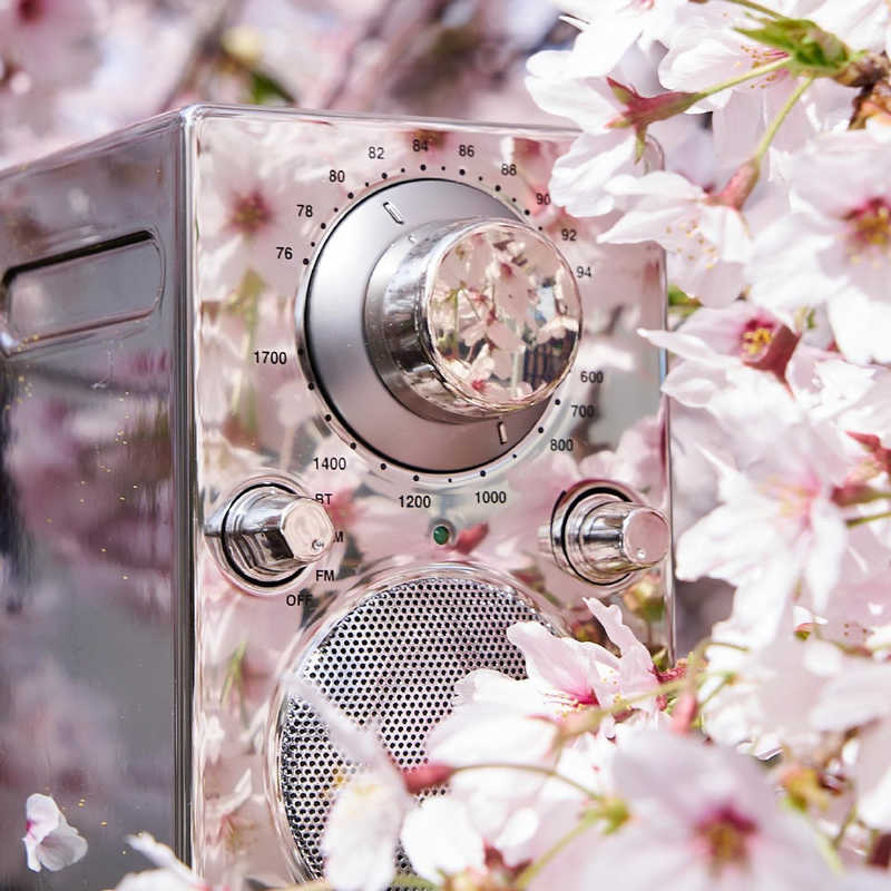 TIVOLIAUDIO　Bluetooth ポータブルラジオスピーカー PAL Bluetoothカーム PALBT9481JP ［Bluetooth対応］　PALBT-9481-JP