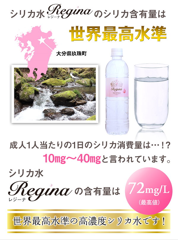 シリカ水 ケイ素水 525ml 40本 シリカウォーター ミネラルウォーター 天然シリカ 水 軟水 ケイ素の恵 国産 大分県産 セール特価 - 水、炭酸 水