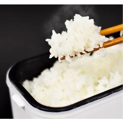 THANKO RCKDSGSWH おひとりさま用超高速弁当箱炊飯器 1合 ホワイト