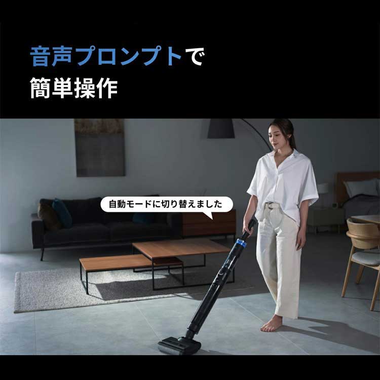 ブラックホール掃除機