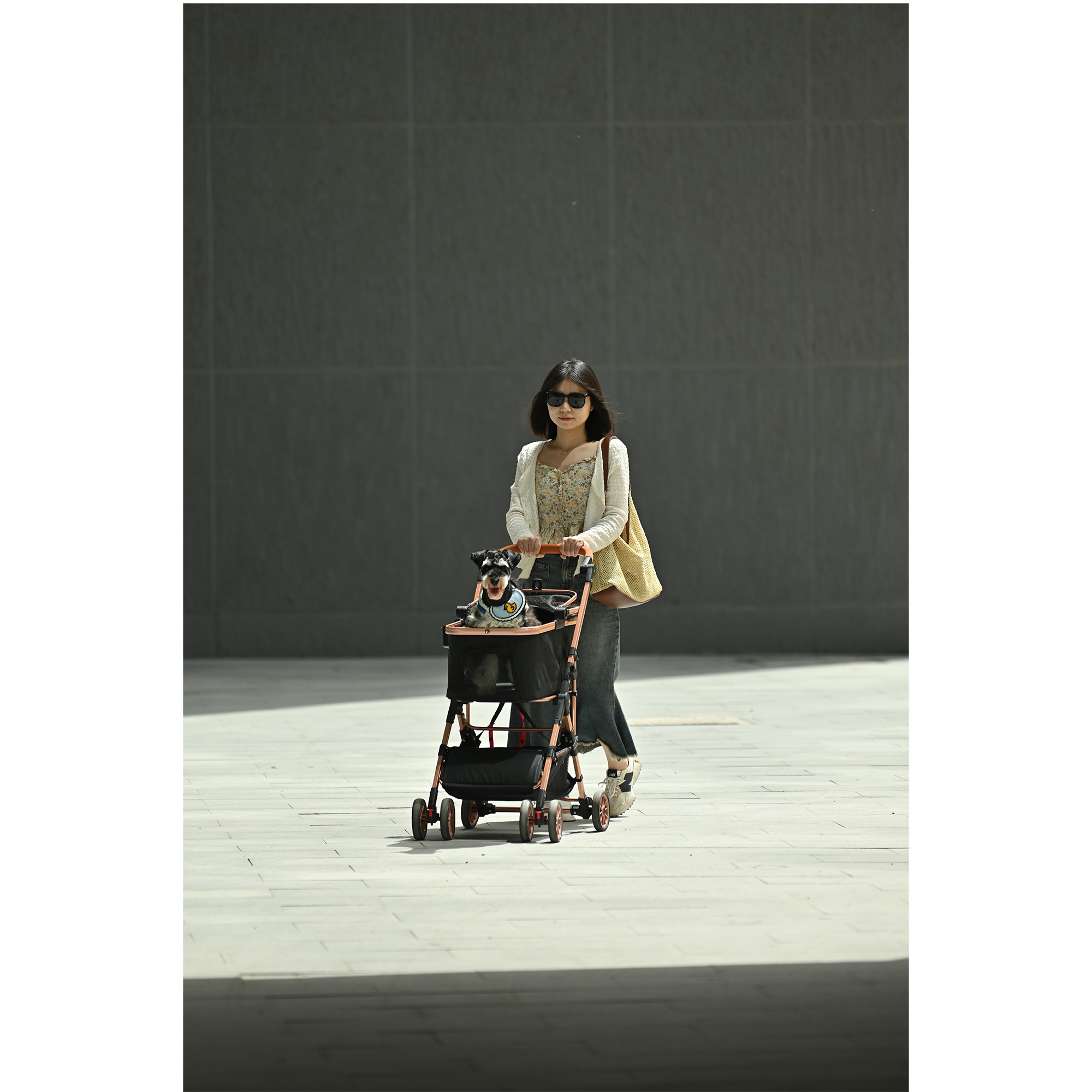 ペットカートアルミ製 分離式 取り外し可能 折りたたみ 多頭 中型犬 小型犬 猫 2way 軽量 ストッパー付き 4輪 組立簡単 工具不要 介護用 ドッグカート ペットバギー 犬 猫 動物 ペ