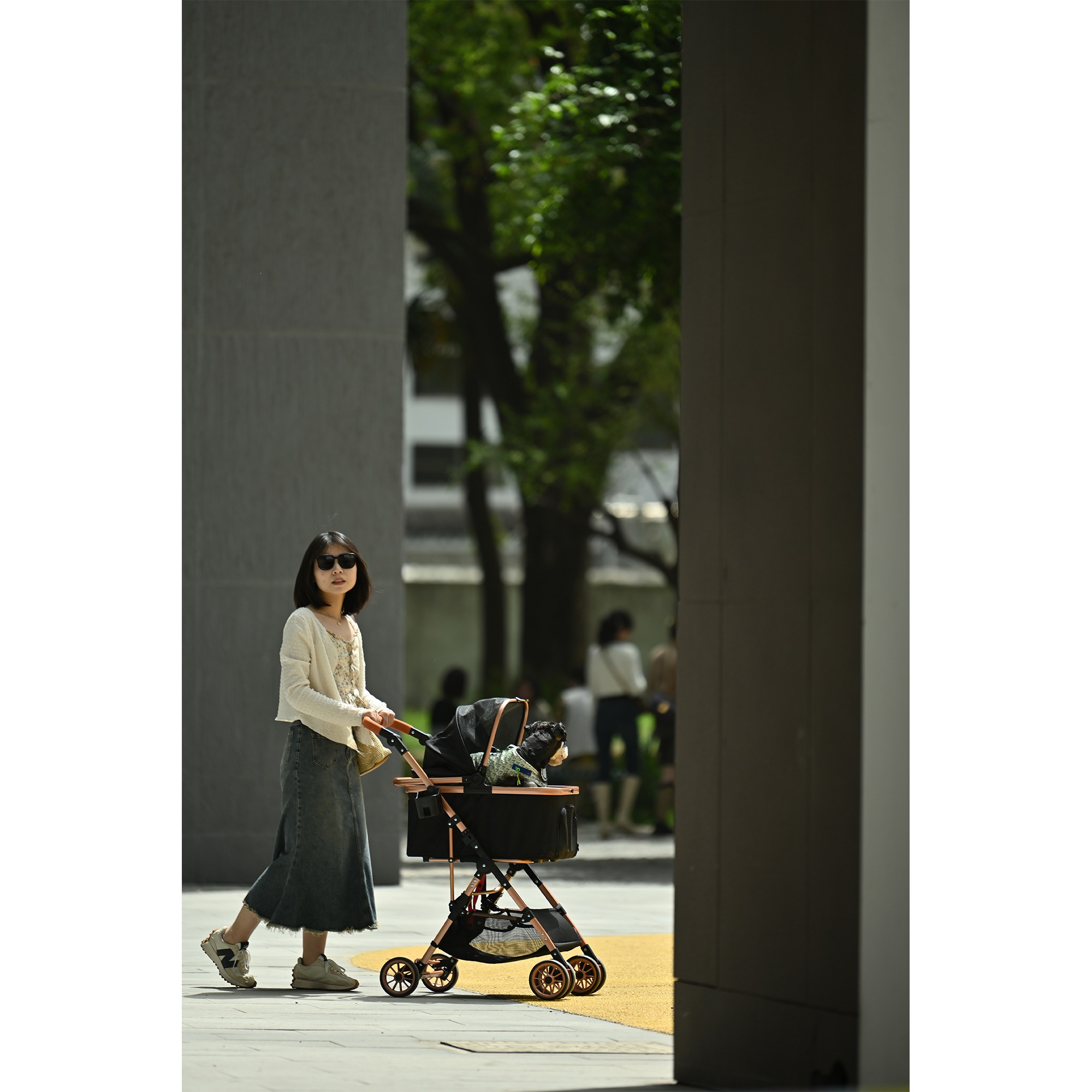 ペットカートアルミ製 分離式 取り外し可能 折りたたみ 多頭 中型犬 小型犬 猫 2way 軽量 ストッパー付き 4輪 組立簡単 工具不要 介護用 ドッグカート ペットバギー 犬 猫 動物 ペ