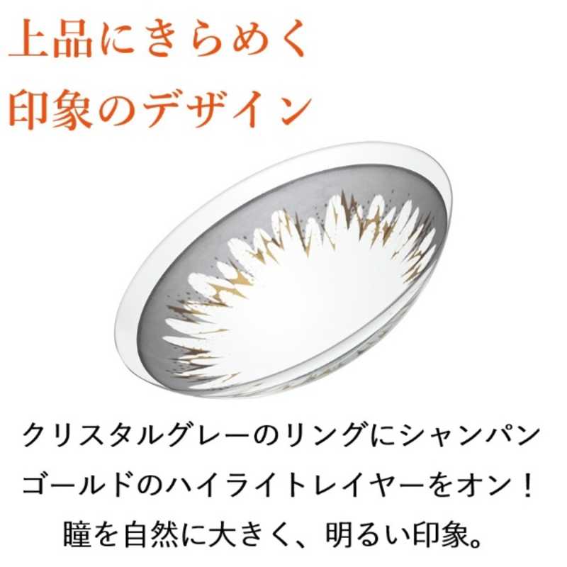 ジョンソン＆ジョンソン　「12箱セット」ワンデー アキュビュー ディファインモイスト ナチュラルシャイン (BC8.5/PWR+0.50/DIA14.2)