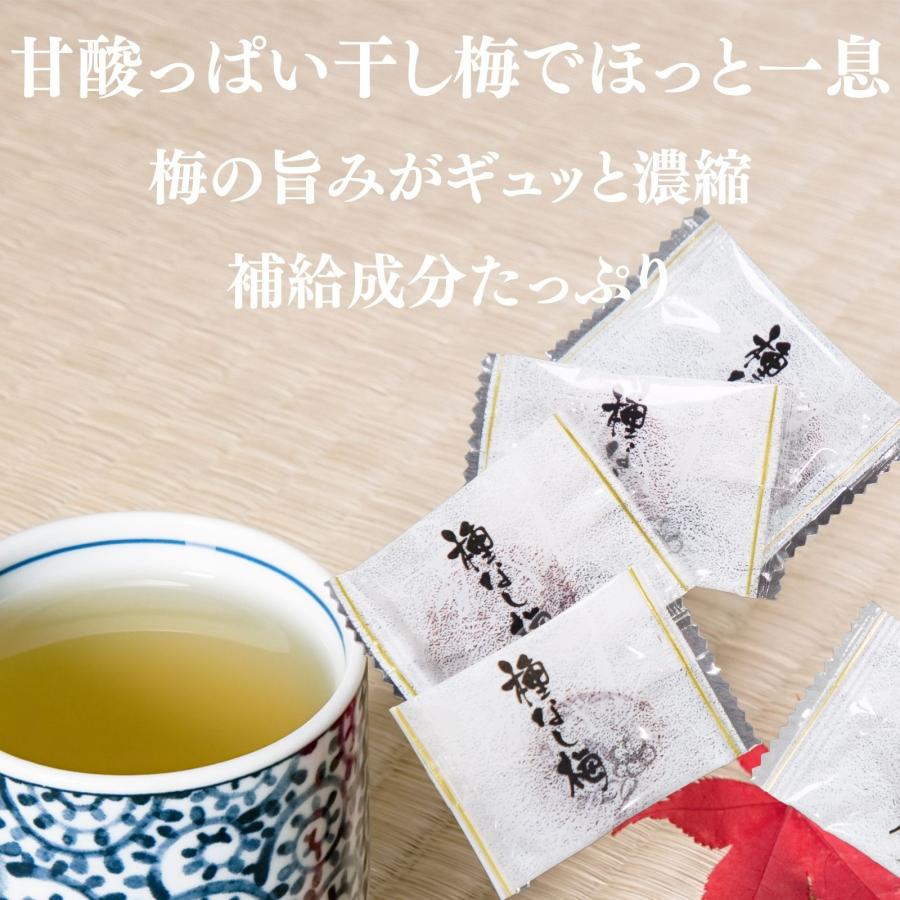 博屋 ドライフルーツ 干し梅 種なし干し梅 まろやか干し梅 300g x 5袋 梅干し 梅干 手土産 スイーツ 常温 個別 包装