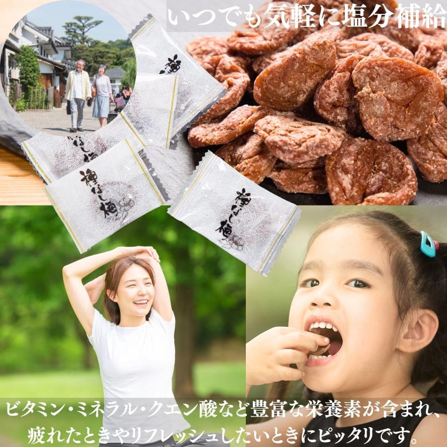 博屋 ドライフルーツ 干し梅 種なし干し梅 まろやか干し梅 300g x 5袋 梅干し 梅干 手土産 スイーツ 常温 個別 包装